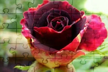 OK jigsaw puzzle