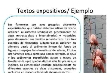 פאזל של Textos expositivos