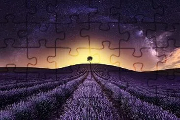 Campo de Lavanda jigsaw puzzle