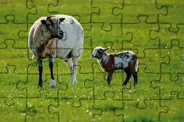 capra.mama.pui jigsaw puzzle