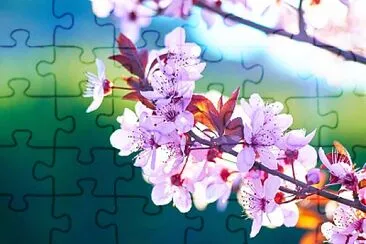 flor cerezo jigsaw puzzle