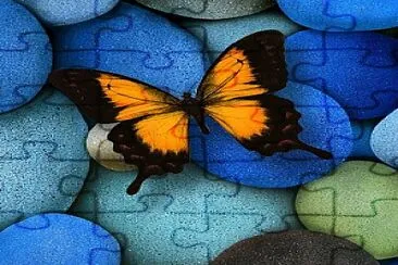 butterfly on blue pebbles