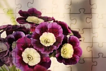 OK jigsaw puzzle