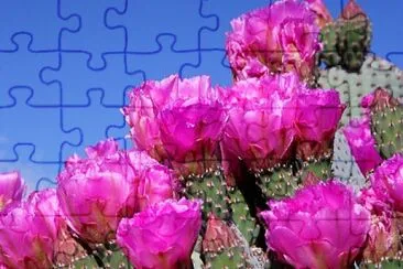 OK jigsaw puzzle