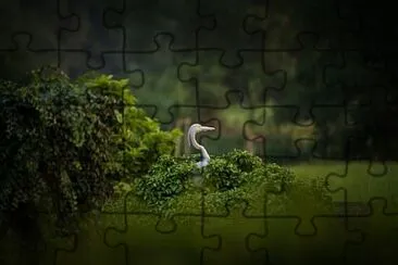 Foto jigsaw puzzle