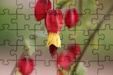 OK jigsaw puzzle