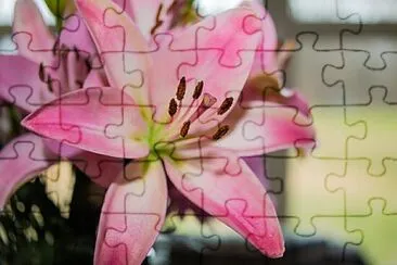 OK jigsaw puzzle