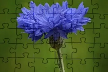 OK jigsaw puzzle