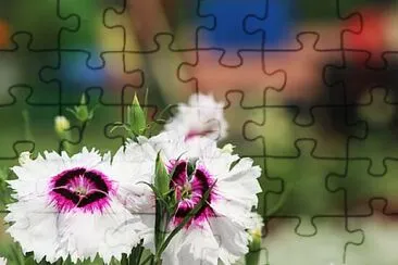 OK jigsaw puzzle