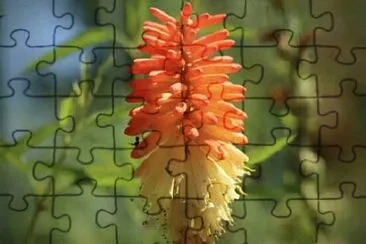 OK jigsaw puzzle