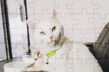 chat jigsaw puzzle