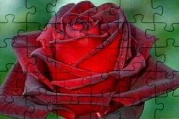 OK jigsaw puzzle