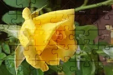 OK jigsaw puzzle