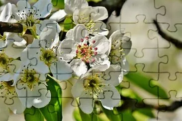 OK jigsaw puzzle