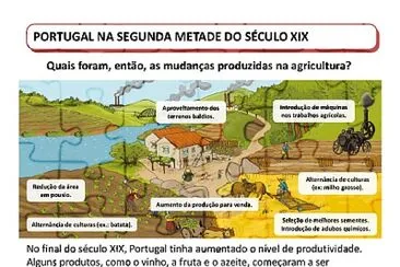 פאזל של modernizaÃ§Ã£o da agricultura