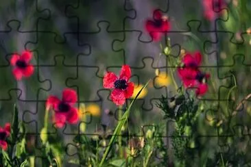 OK jigsaw puzzle