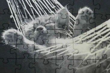 What a life jigsaw puzzle