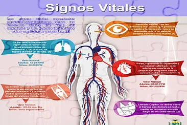 פאזל של SIGNOS VITALES