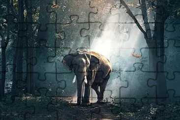 Foto jigsaw puzzle