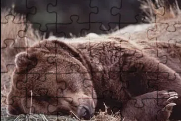 zimnÃ­ spÃ¡nek jigsaw puzzle