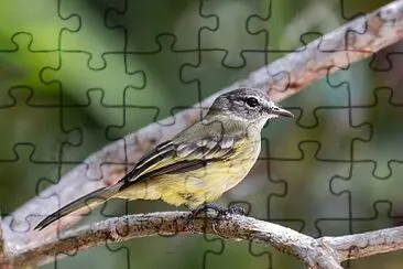 Elenia di foresta jigsaw puzzle