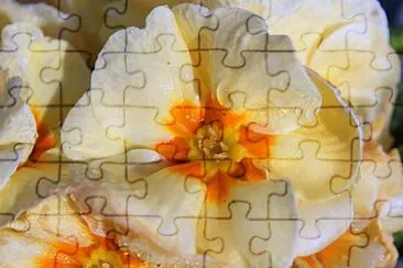 OK jigsaw puzzle