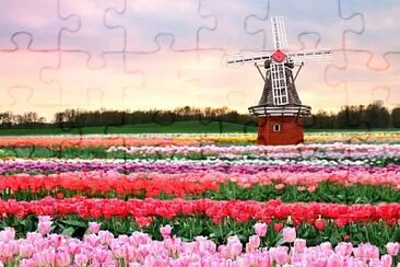 Keukenhof jigsaw puzzle