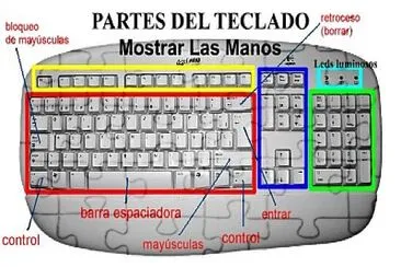 TECLADO Y SUS DIVISIONES jigsaw puzzle