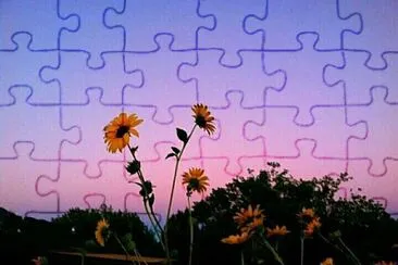 *aesthetic* jigsaw puzzle