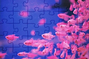 pinkfish jigsaw puzzle