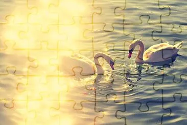 love swan jigsaw puzzle