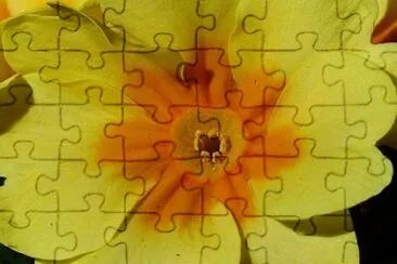 OK jigsaw puzzle