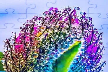 Colorful Water Bubbles jigsaw puzzle