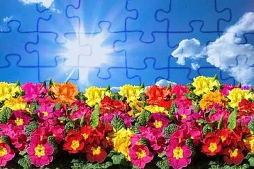 OK jigsaw puzzle