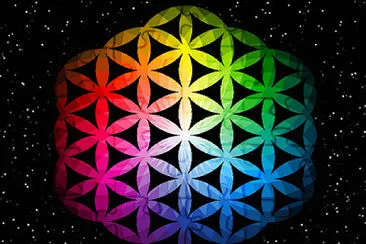 The flower of life