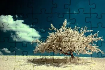 _rocio.f jigsaw puzzle