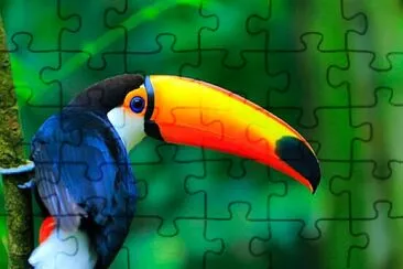 SELVA TROPICAL jigsaw puzzle