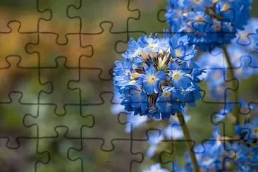 OK jigsaw puzzle