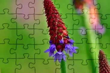 OK jigsaw puzzle