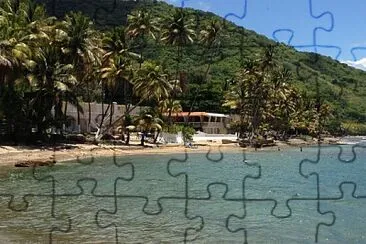 vzla jigsaw puzzle