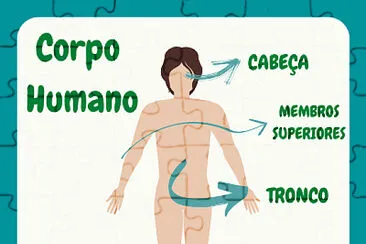 CORPO HUMANO