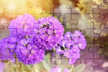 OK jigsaw puzzle