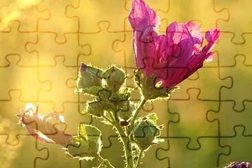 imagem jigsaw puzzle