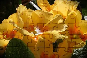 OK jigsaw puzzle