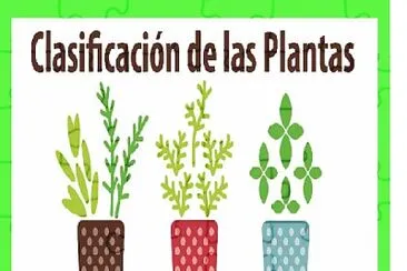 LAS PLANTAS jigsaw puzzle