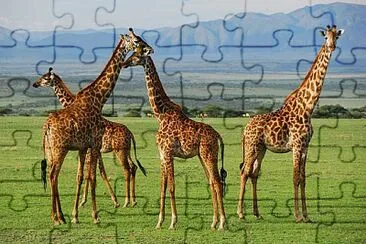 JIRAFAS jigsaw puzzle