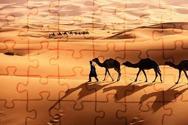 DESIERTO jigsaw puzzle