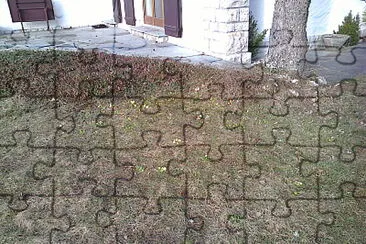 Primevères Chaumont jigsaw puzzle