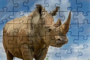 RINOCERONTE jigsaw puzzle