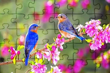 Spring Birds jigsaw puzzle